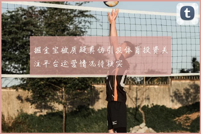掘金宝被质疑真伪引发体育投资关注平台运营情况待核实